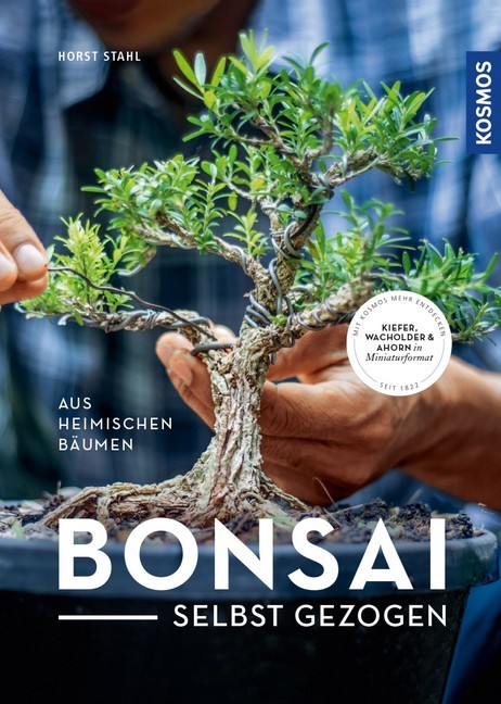 Bonsai selbst gezogen main product photo