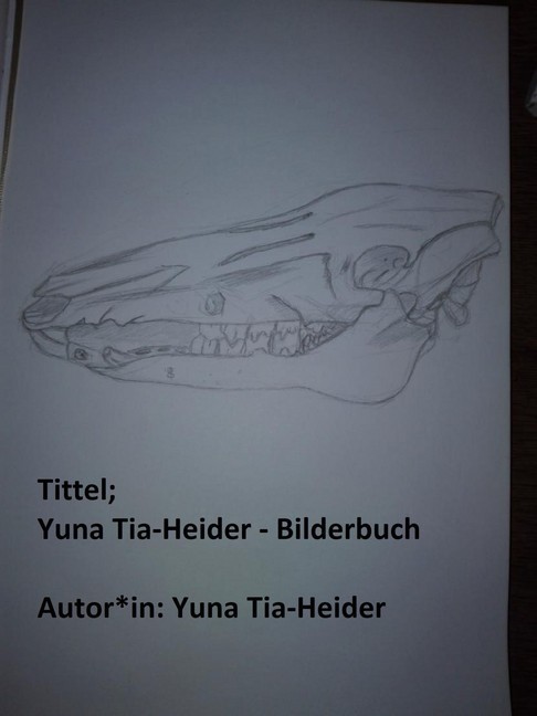 Yuna Tia-Heider - Bilderbuch main product photo