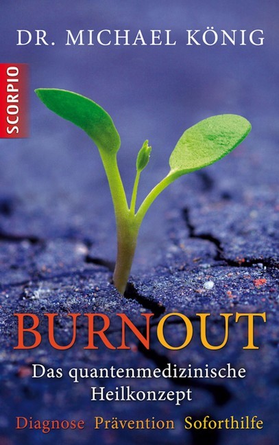 Burnout main product photo
