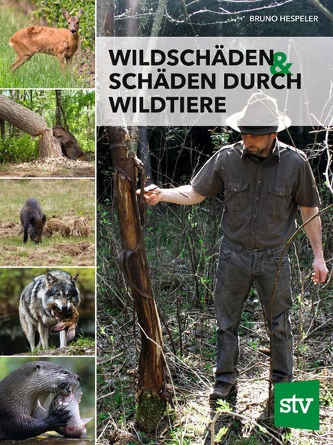 Wildschäden & Schäden durch Wildtiere main product photo