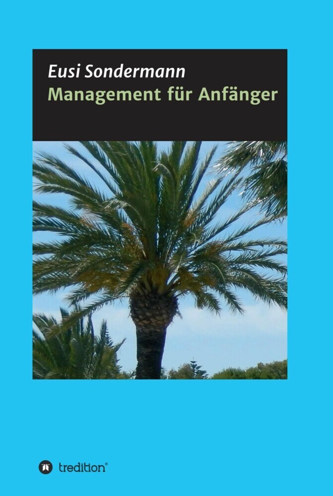 Management für Anfänger main product photo