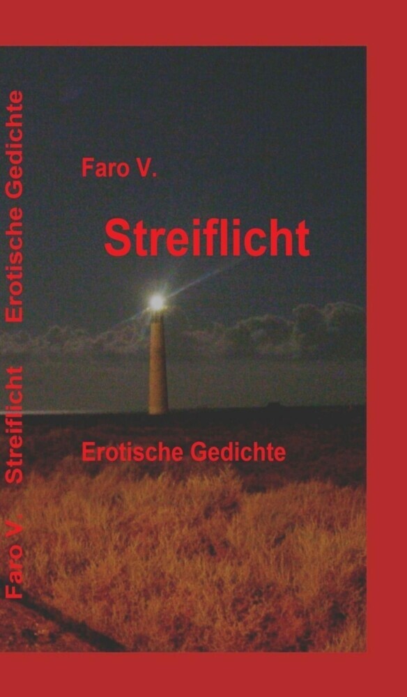 Streiflicht main product photo