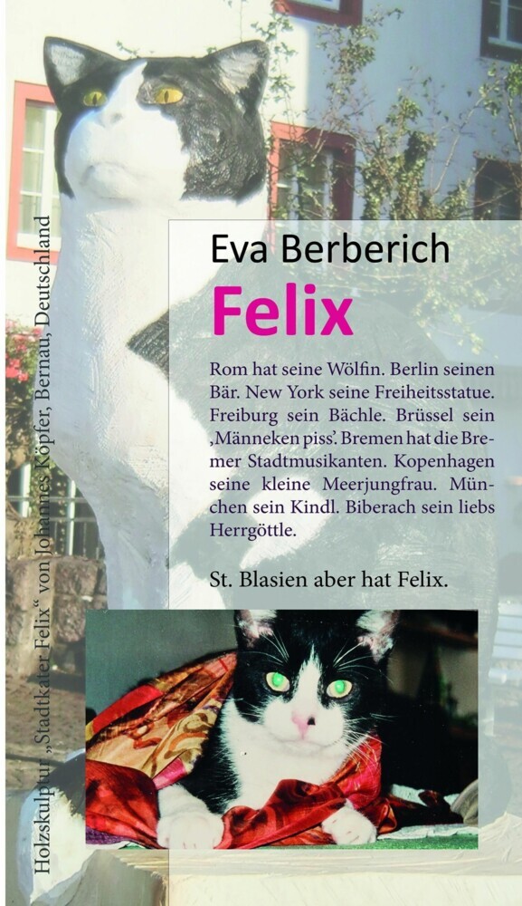 Felix main product photo