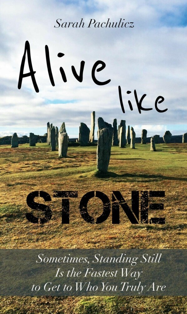 Alive Like Stone main product photo