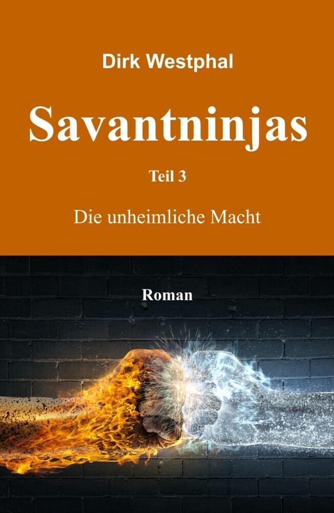 Savantninjas main product photo