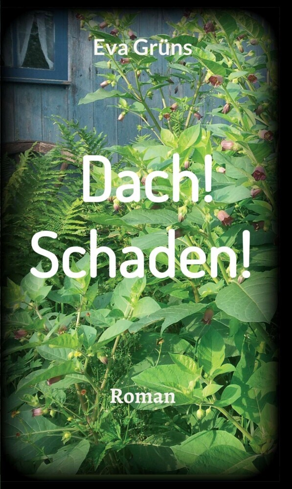Dach! Schaden! main product photo