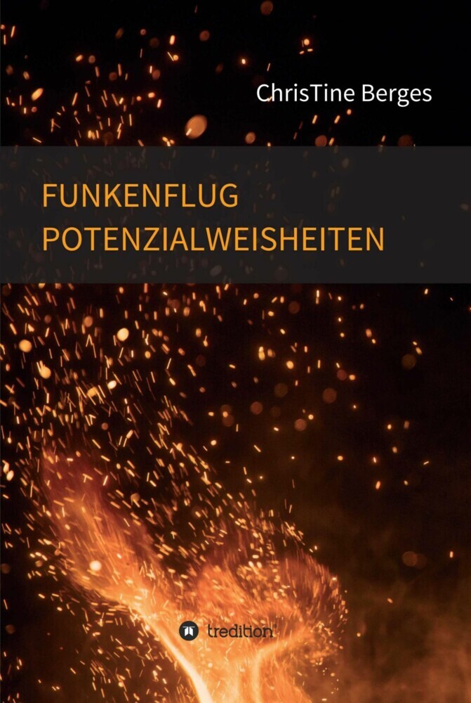 Funkenflug Potenzialweisheiten main product photo