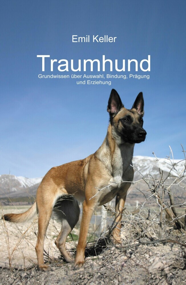 Traumhund main product photo