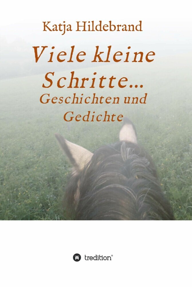 Viele kleine Schritte... main product photo