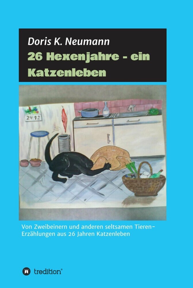26 Hexenjahre - ein Katzenleben main product photo