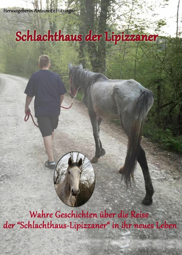 Schlachthaus der Lipizzaner main product photo