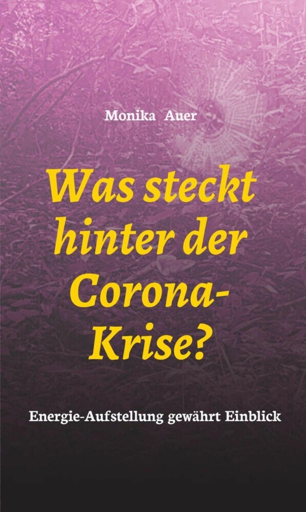 Was steckt hinter der Corona-Krise? main product photo