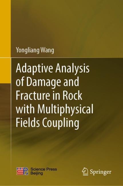 Adaptive Analysis of Damage and Fracture in Rock with Multiphysical Fields Coupling main product photo