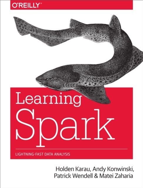 Learning Spark main product photo