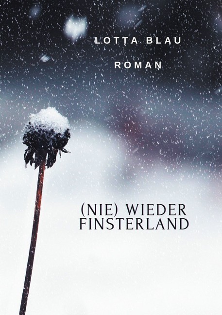 (Nie) Wieder Finsterland main product photo