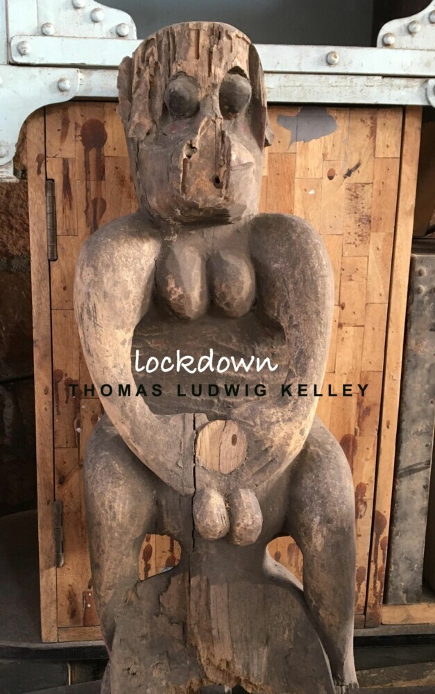 Lockdown main product photo