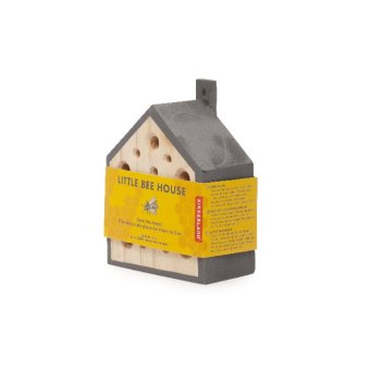 Solitäre Bienen Hause