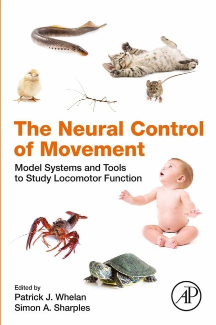 The Neural Control of Movement main product photo