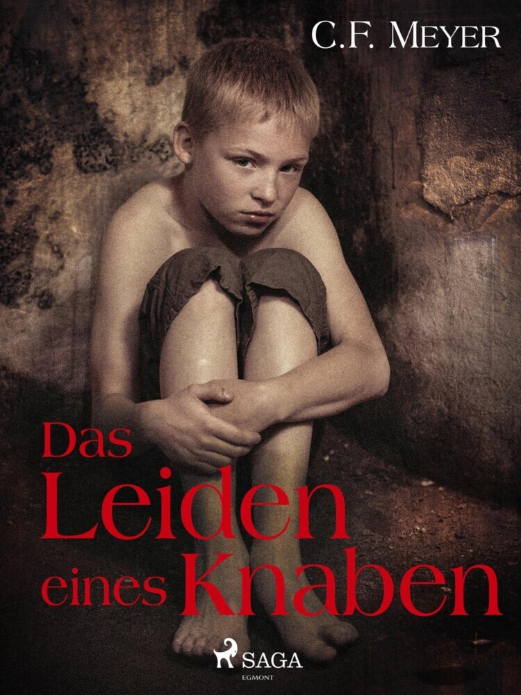 Das Leiden eines Knaben main product photo