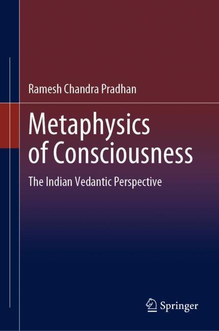 Metaphysics of Consciousness main product photo