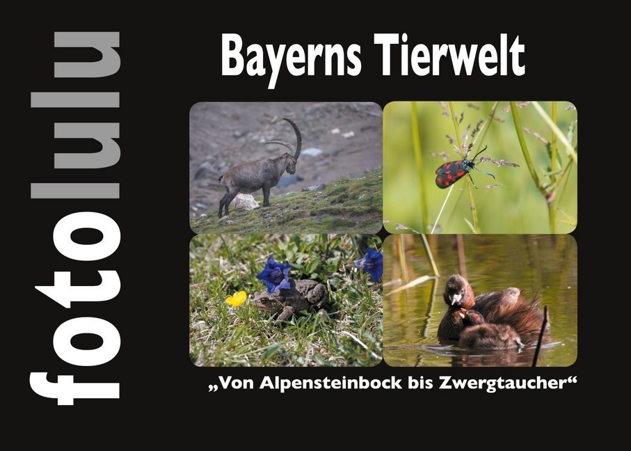 Bayerns Tierwelt main product photo