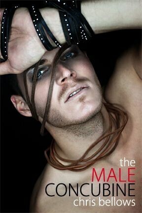 The Male Concubine main product photo