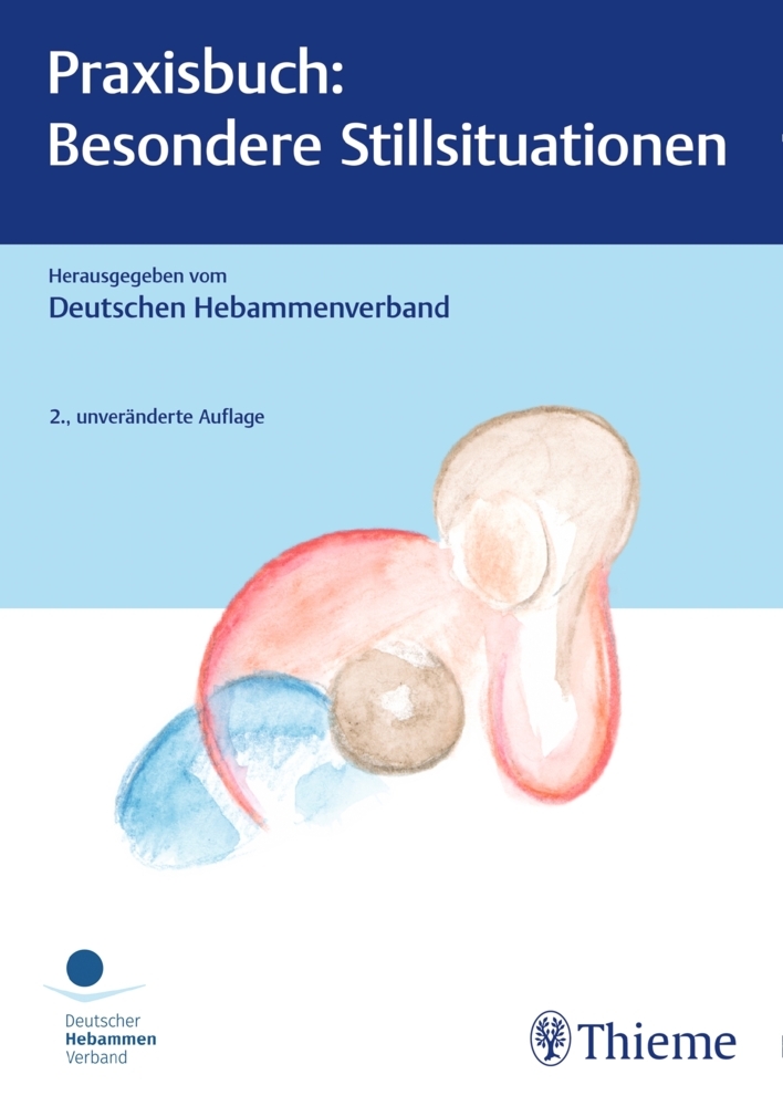 Praxisbuch: Besondere Stillsituationen main product photo