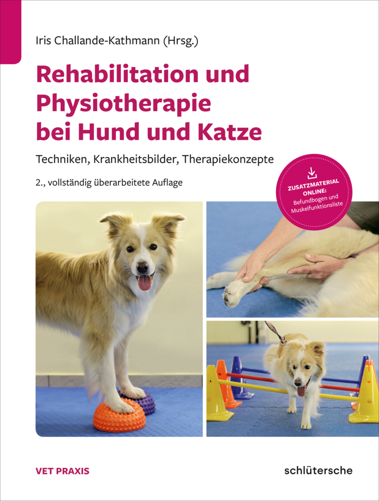 Rehabilitation und Physiotherapie bei Hund und Katze main product photo