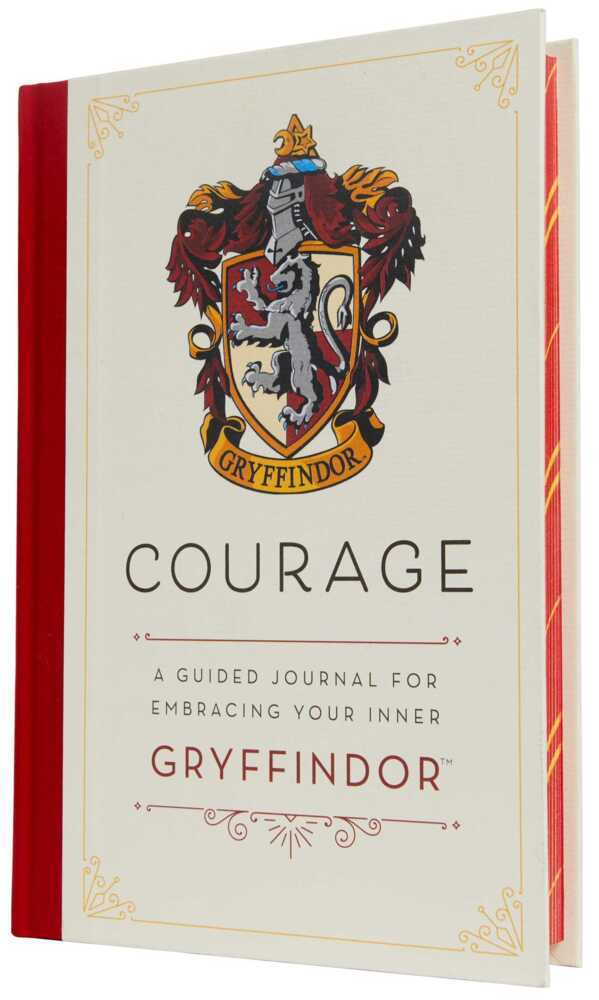 Harry Potter: Courage main product photo