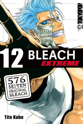 Bleach EXTREME. Bd.12