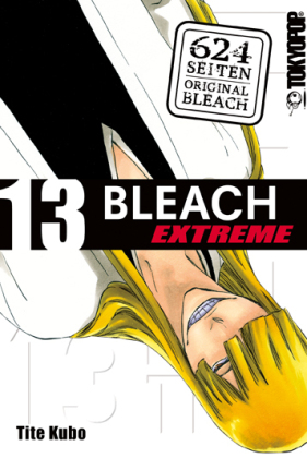 Bleach EXTREME. Bd.13