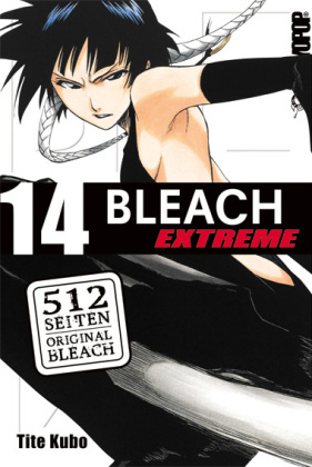 Bleach EXTREME. Bd.14