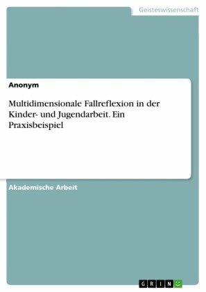 Multidimensionale Fallreflexion in der Kinder- und Jugendarbeit. Ein Praxisbeispiel