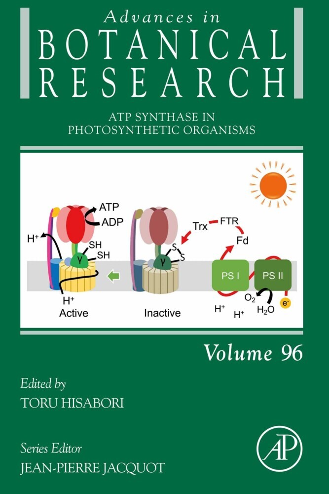 ATP Synthase in Photosynthetic Organisms main product photo