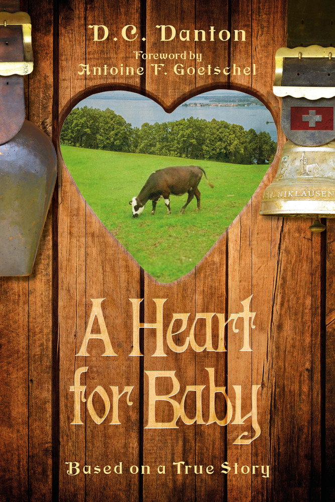 A Heart for Baby main product photo