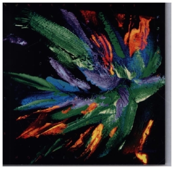 Now Here No Where, 1 Audio-CD