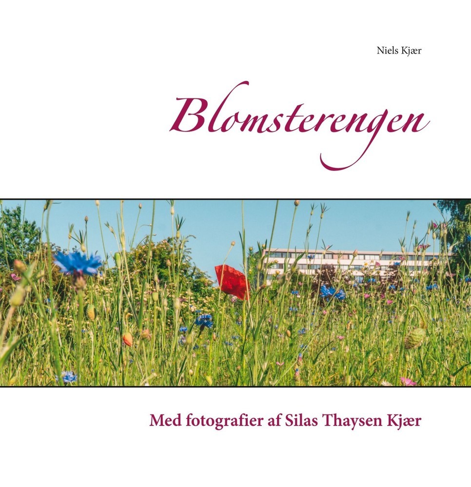 Blomsterengen main product photo