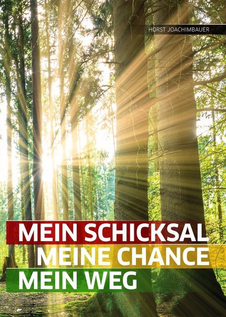 Mein Schicksal, meine Chance, mein Weg main product photo