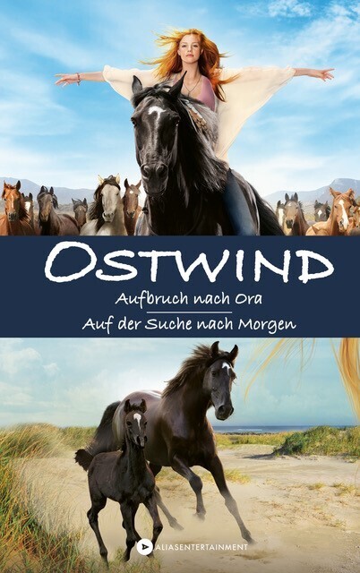 Ostwind main product photo