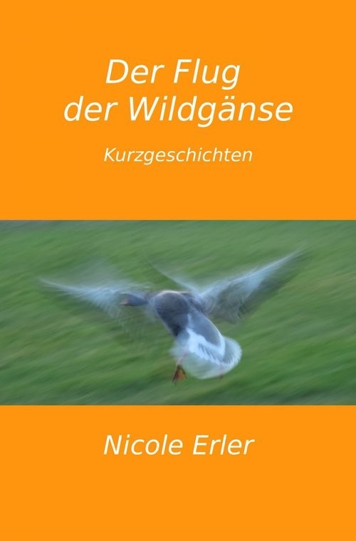 Der Flug der Wildgänse main product photo