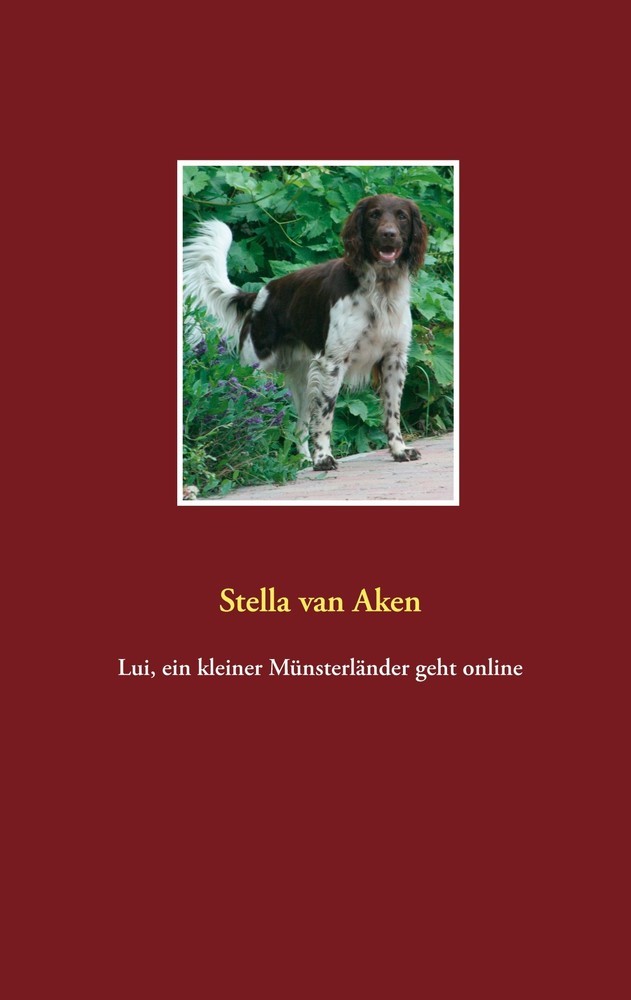 Lui, ein kleiner Münsterländer geht online main product photo