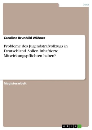 Probleme des Jugendstrafvollzugs in Deutschland. Sollen Inhaftierte Mitwirkungspflichten haben?
