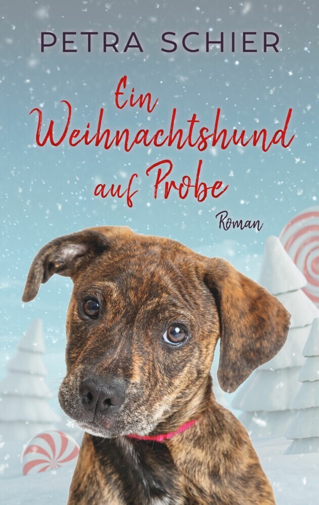 Ein Weihnachtshund auf Probe main product photo