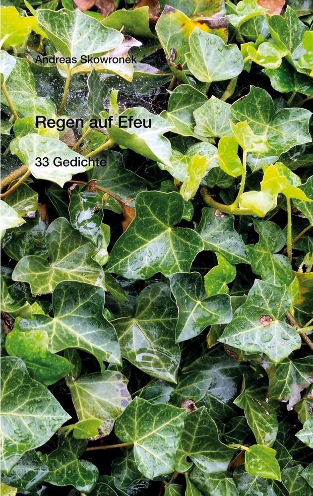 Regen auf Efeu main product photo