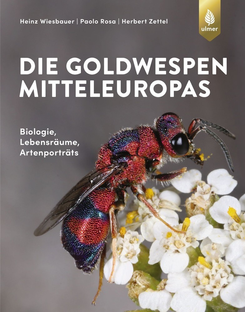 Die Goldwespen Mitteleuropas main product photo