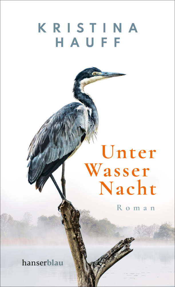 Unter Wasser Nacht main product photo