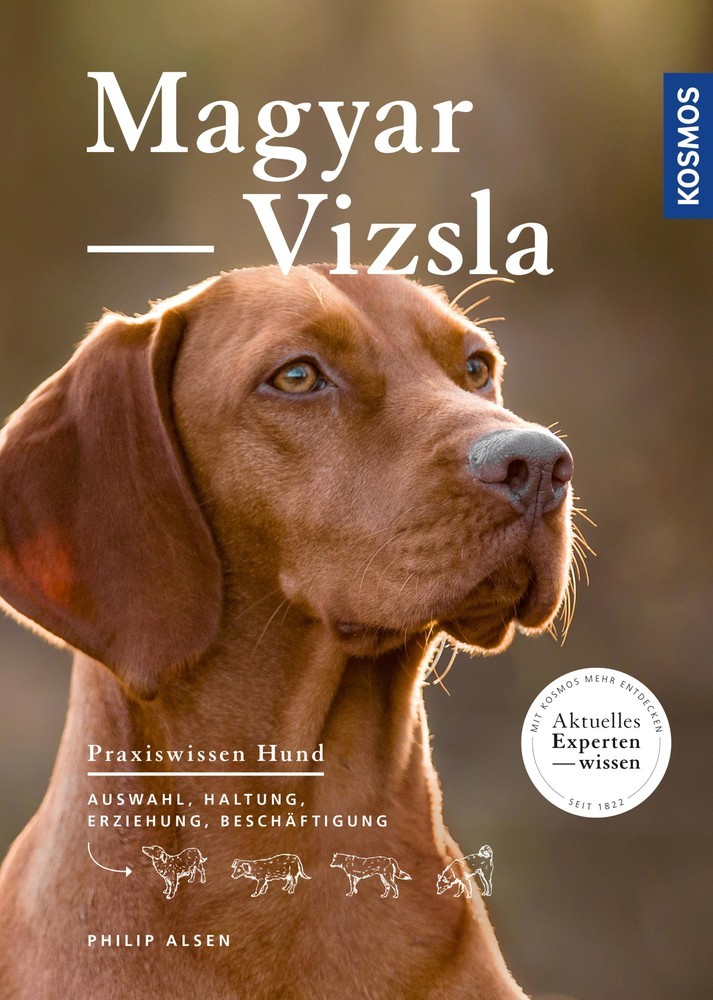 Magyar Vizsla main product photo