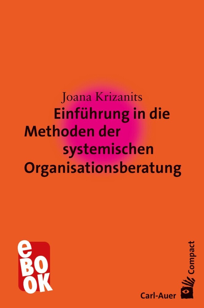 Einführung in die Methoden der systemischen Organisationsberatung main product photo