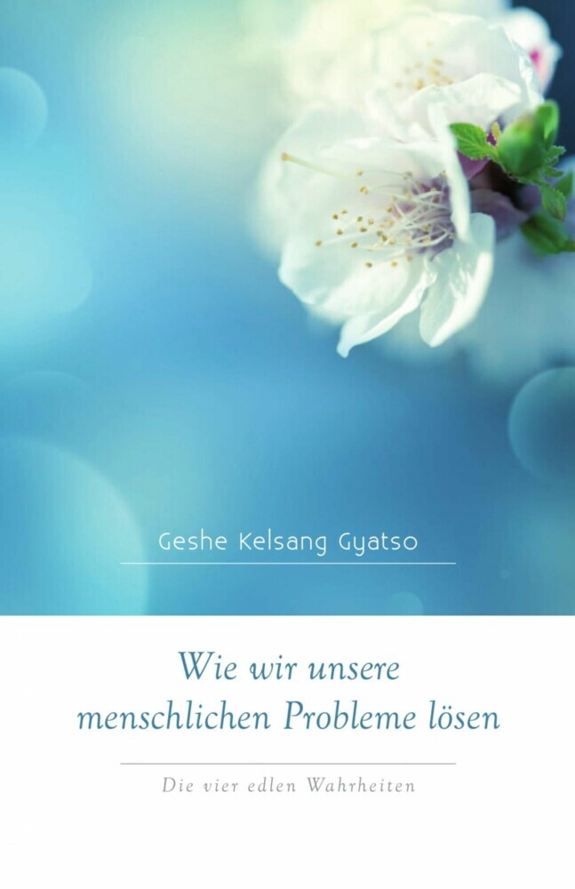 Wie wir unsere menschlichen Probleme lösen main product photo
