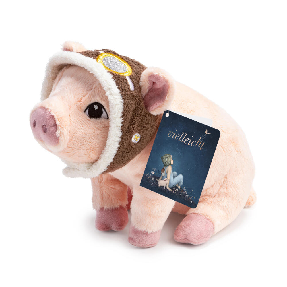 Vielleicht Plüschschwein main product photo